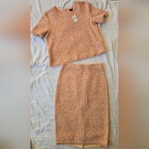 Ann Taylor Pink Skirt Set